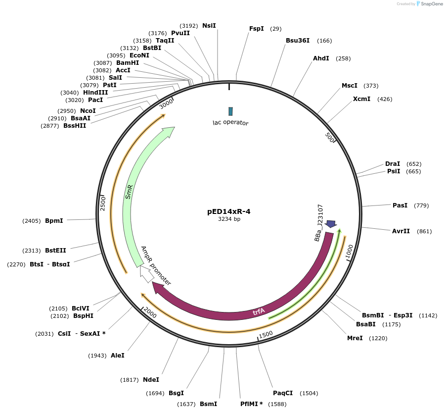 134799-plasmid-map-sequence-id-266470