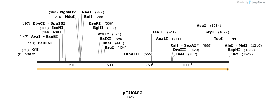 266485_map