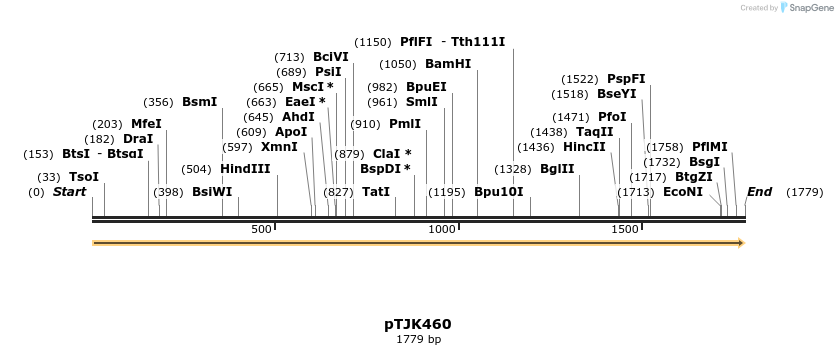 266487_map
