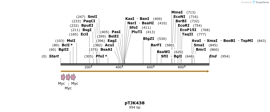 266488_map