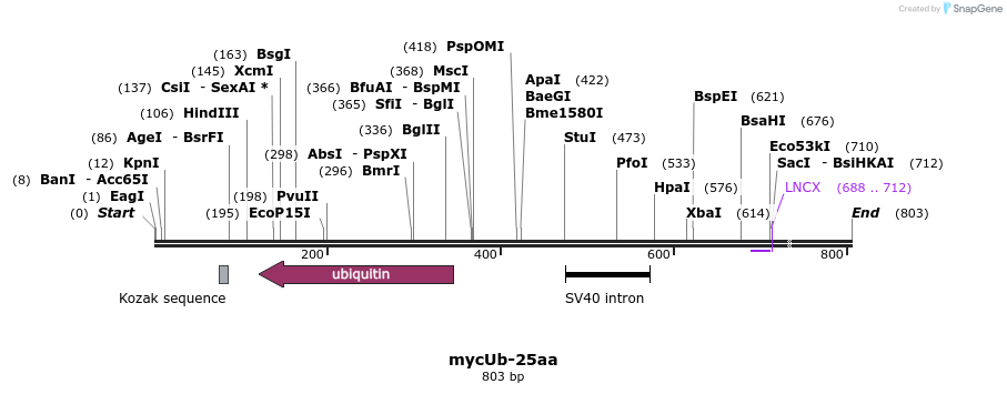 26649_map