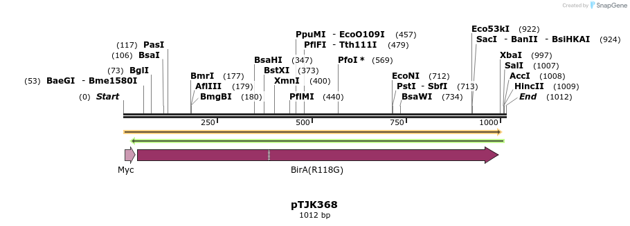 266490_map