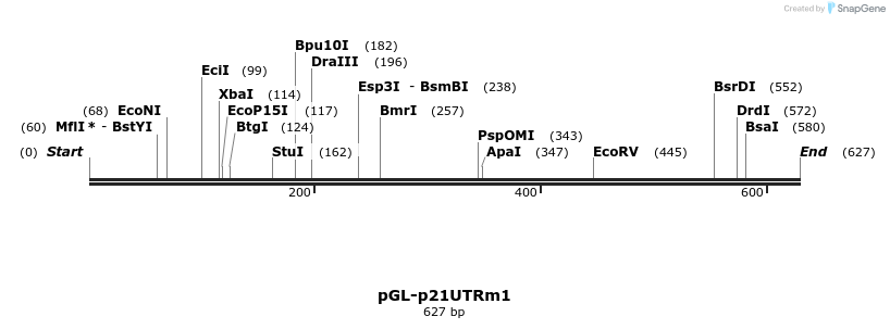 26654_map