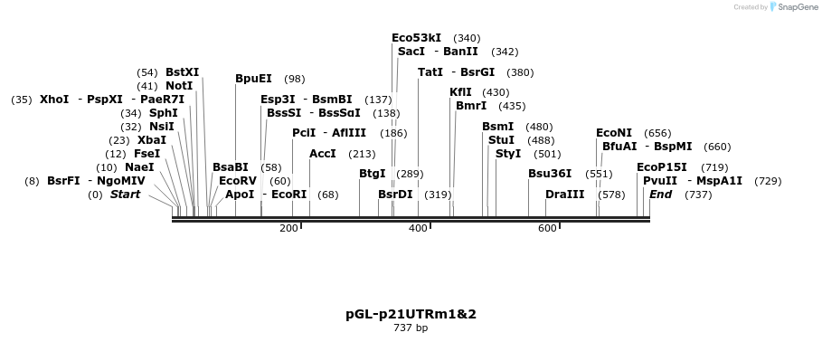 26657_map