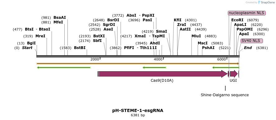 266625_map