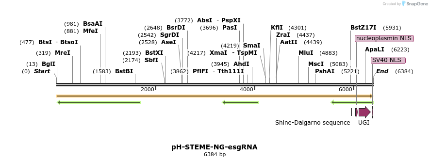 266627_map