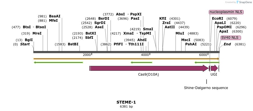 266629_map