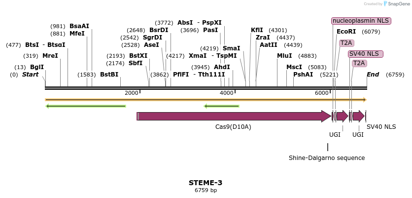 266631_map