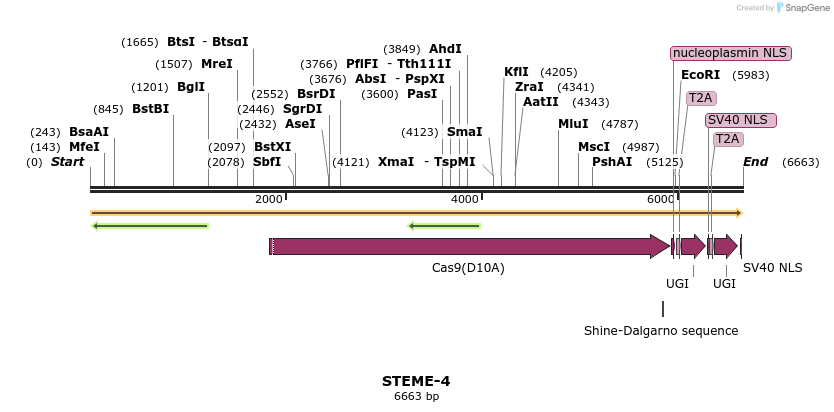266632_map