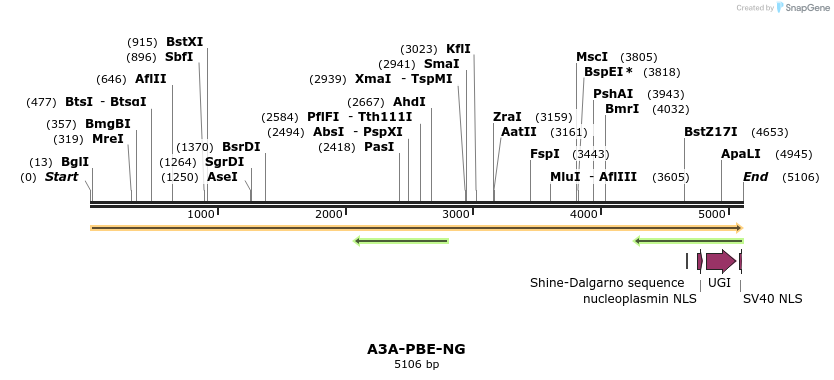 266633_map
