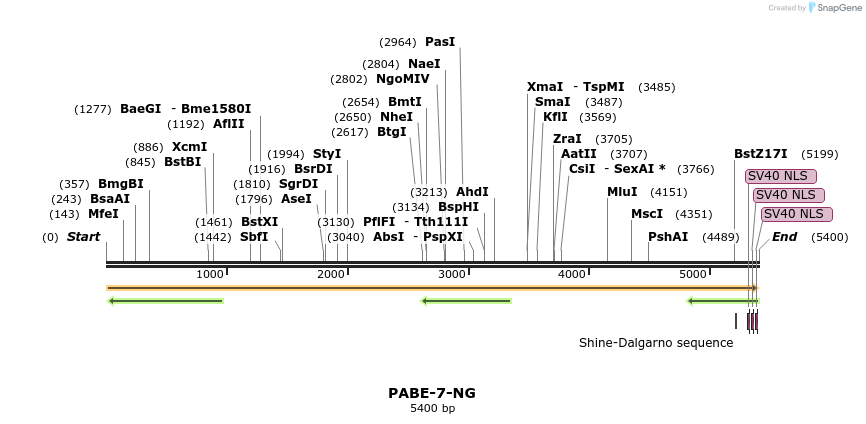 266634_map