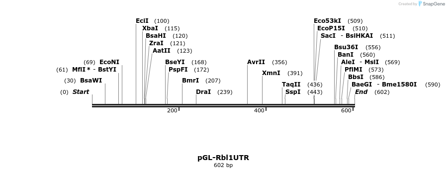 26664_map