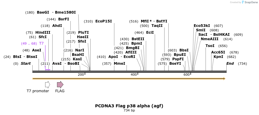 26667_map