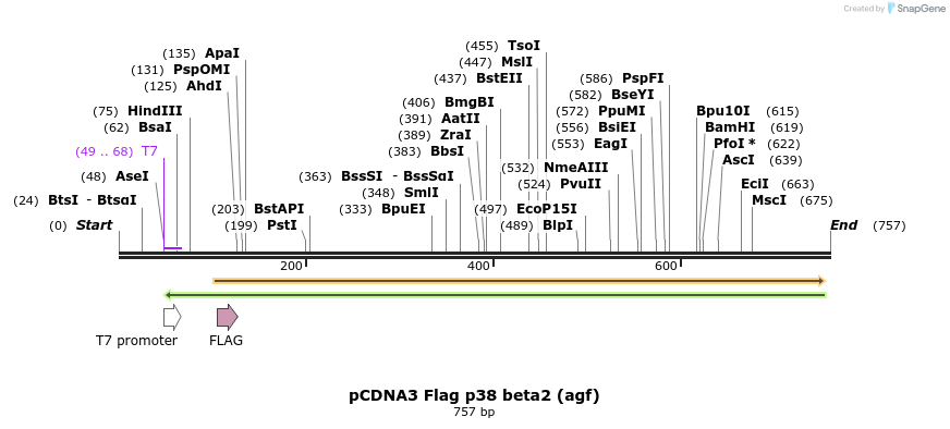 26672_map