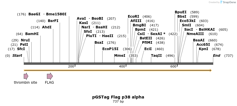 26673_map