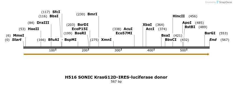 266736_map