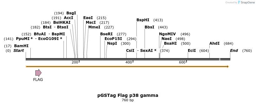 26675_map