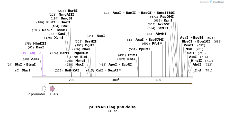 26676_map