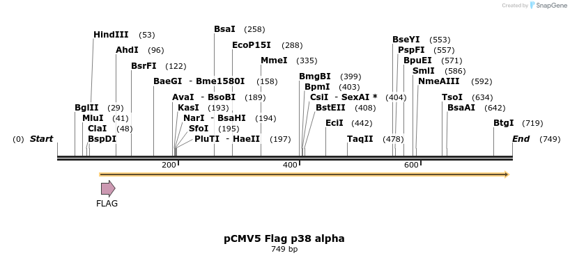26677_map