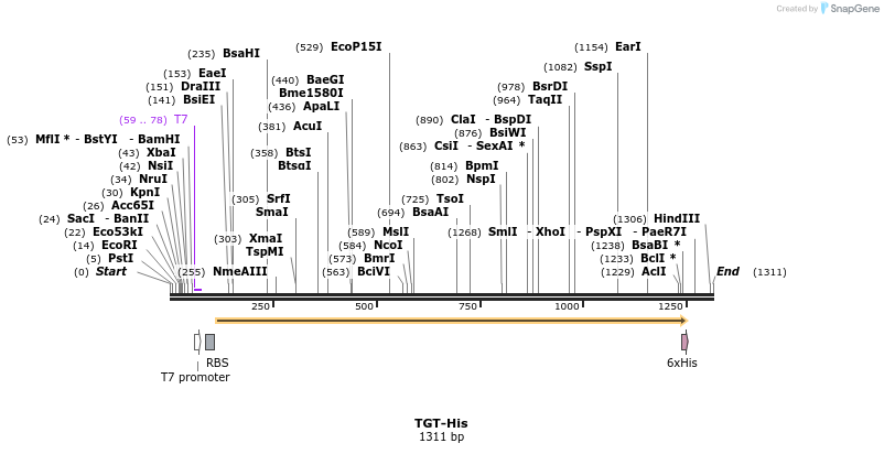 266771_map