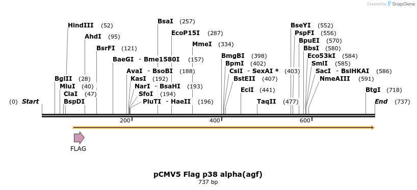 26678_map