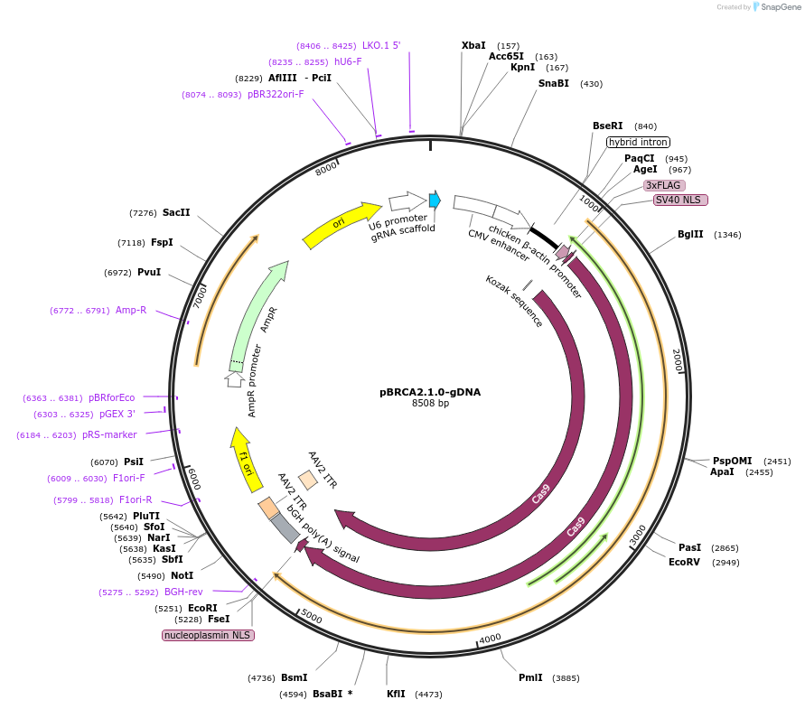 266805_map