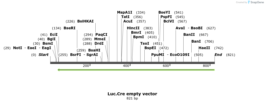 26681_map