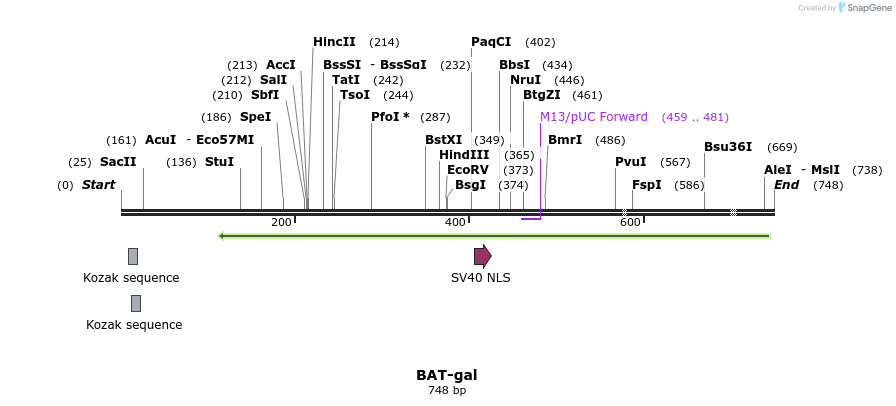 26683_map
