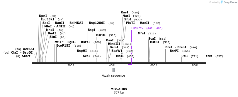 26685_map