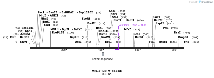26686_map