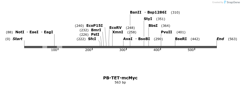 26693_map