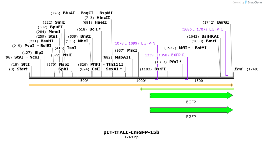 266934_map
