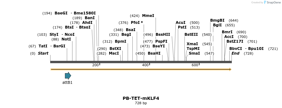 26694_map