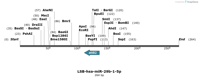 266945_map