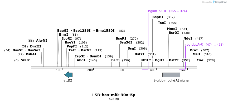 266946_map
