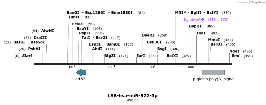 266953_map