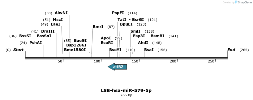 266968_map