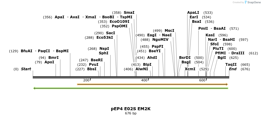 26703_map