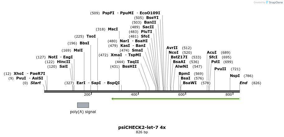 26713_map