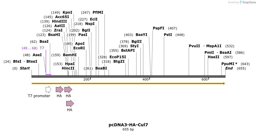 26716_map