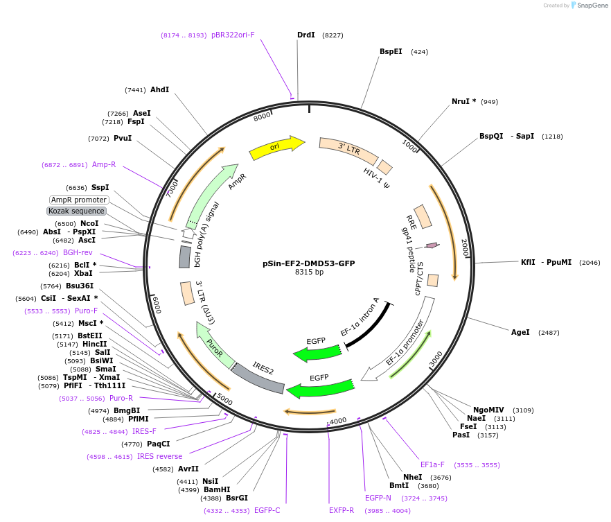 267191_map
