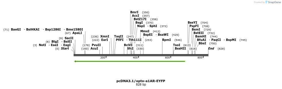 26732_map