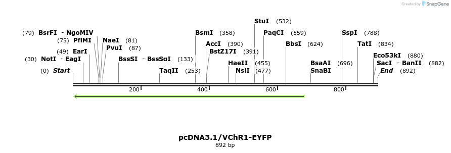 26736_map