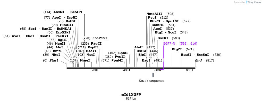 26748_map