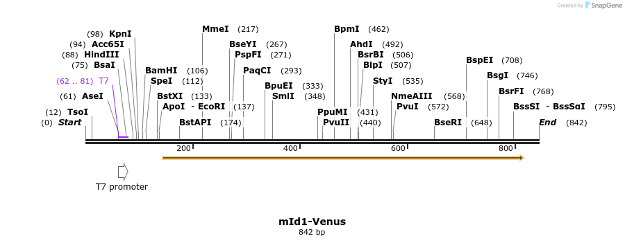 26749_map