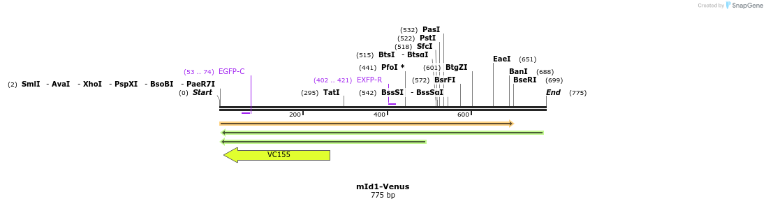 26750_map