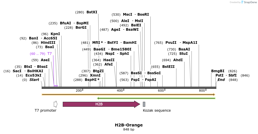 26751_map