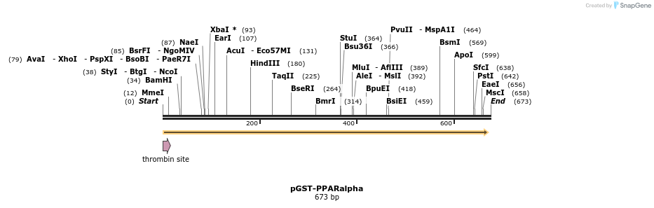267515_map