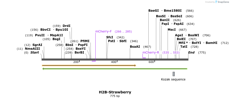 26753_map
