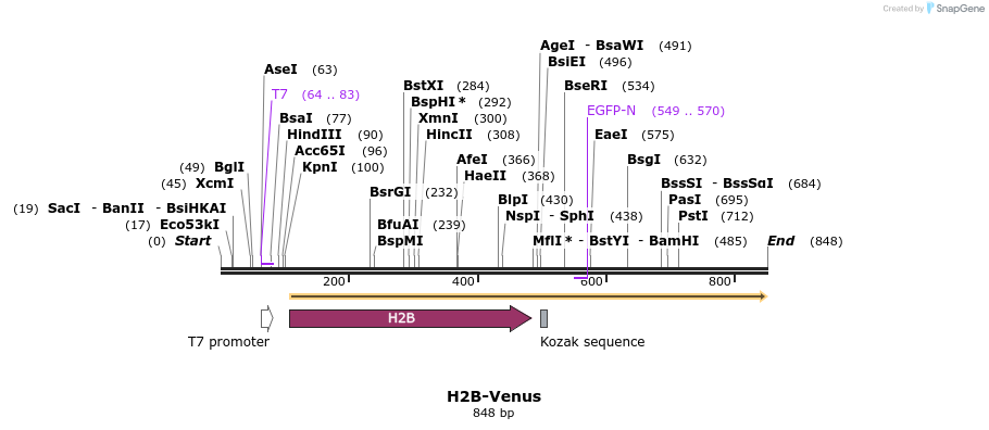 26754_map